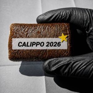 Calippo 2026